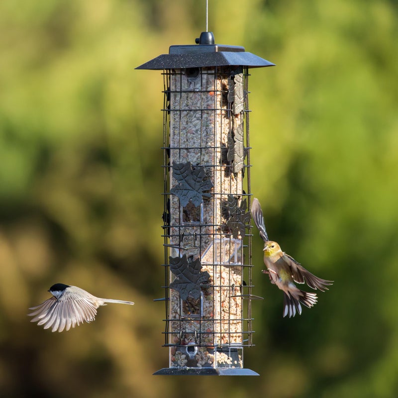 Perky-Pet 336-1SR Squirrel-Be-Gone Squirrel Proof Bird Feeder, 2LB, Outdoor Wild Bird Feeder with Weight-Activated Perches - Image 2